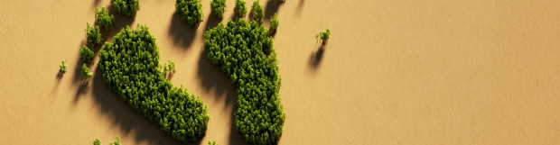 How Document Management Solutions Reduce Carbon Footprint