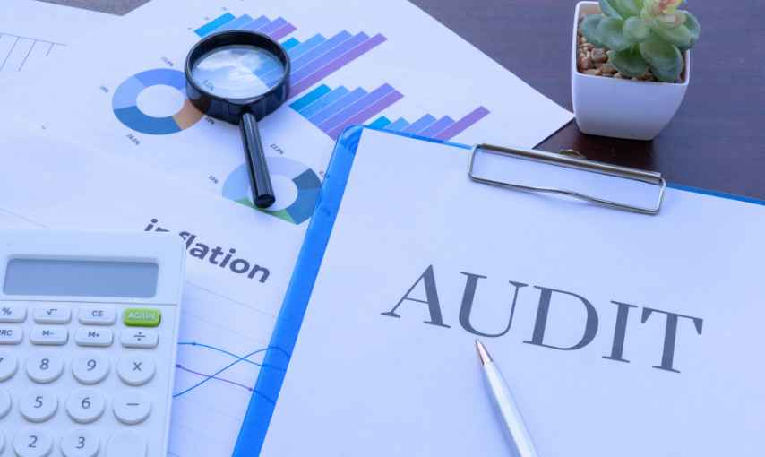 How Document Management Software Makes Business Auditing Easier